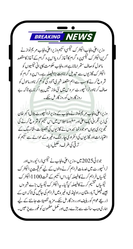 CM Punjab Electric Taxies Scheme For Youth Employment Know Full Details Step By Step